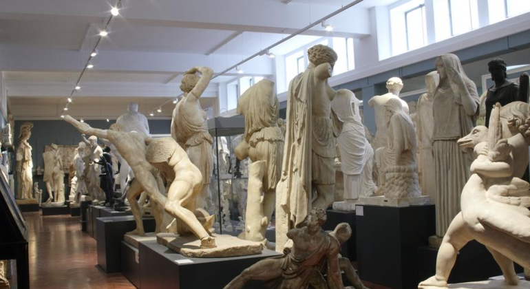 Ancient marble sculptures in a museum gallery under natural light, showcasing classical art and detailed craftsmanship