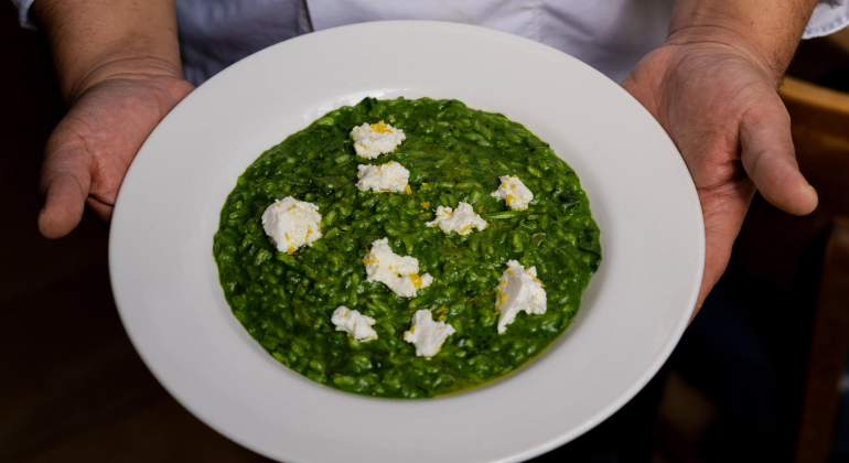 Chef presenting a plate of vibrant green pesto risotto topped with dollops of cream cheese in a white dish