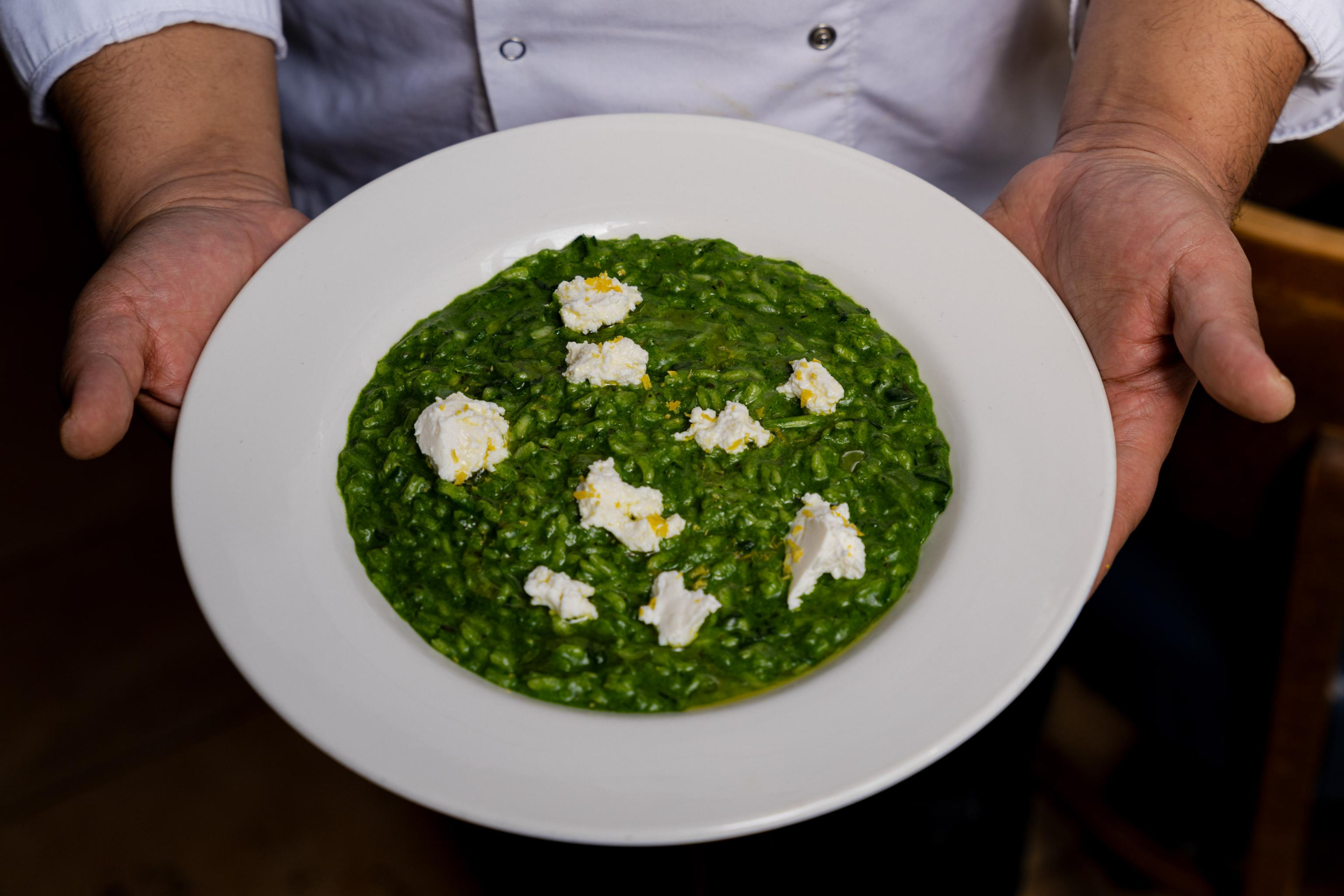Chef presenting a plate of vibrant green pesto risotto topped with dollops of cream cheese in a white dish