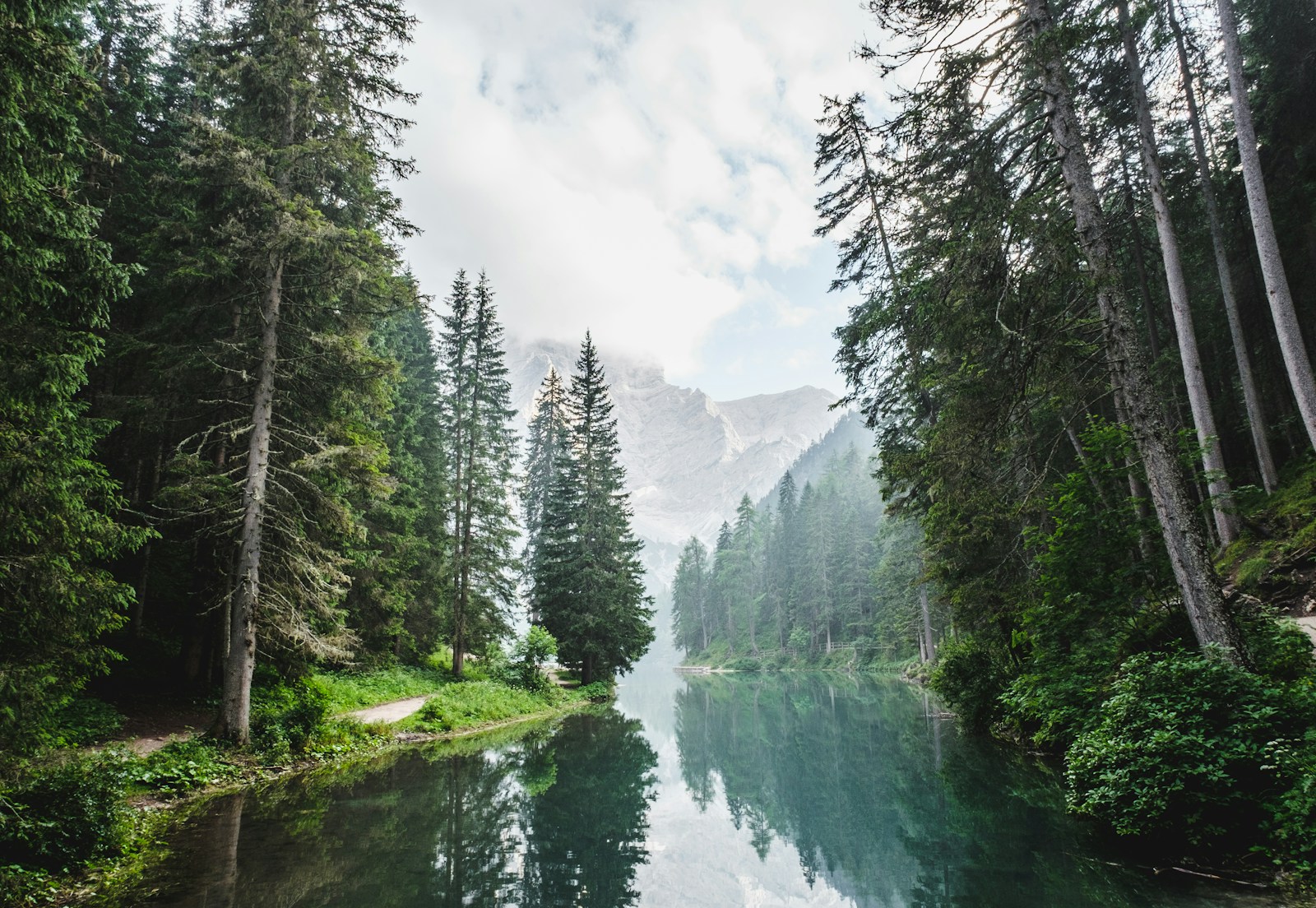 Serene mountain landscape with tall pine trees reflected in tranquil lake under a cloudy sky in a forest setting